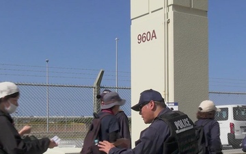 Tedako Walk 2026: B-Roll