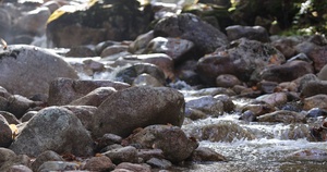 Stream along Champney Falls Trail in White Mountain National Forest