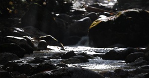 Stream along Champney Falls Trail in White Mountain National Forest