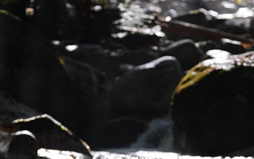 Stream along Champney Falls Trail in White Mountain National Forest