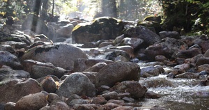 Stream along Champney Falls Trail in White Mountain National Forest