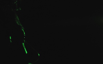 325th Fighter Wing generates airpower at Bamboo Eagle 26-1 (B-Roll)