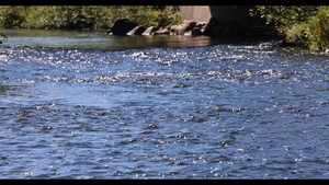 Rippling water on Paint River in Ottawa National Forest
