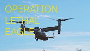 101st Rakkasan Soldiers Conducts Air Assault and CALFEX During Operation Lethal Eagle