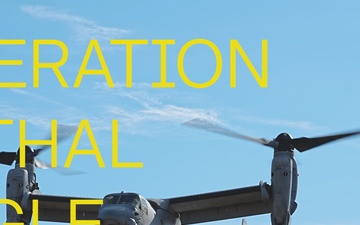 101st Rakkasan Soldiers Conducts Air Assault and CALFEX During Operation Lethal Eagle