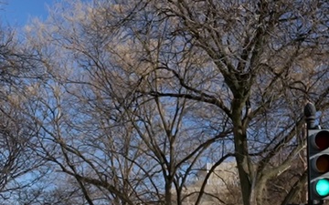 Patrolling Dupont Circle | Operation D.C. Safe and Beautiful