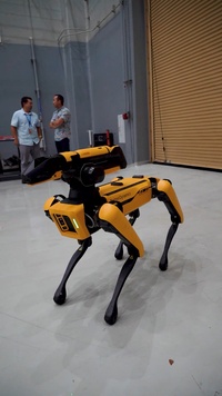 PHNSYIMF B-Roll - Robotic dog - Vertical