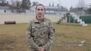 MWD Socialization Training