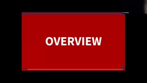 Overview of the Mentor Protégé Program