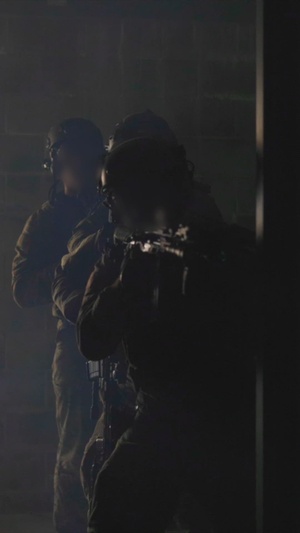 1SFG(A) Unit Highlight