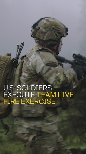 U.S. Soldiers conduct team live fire exercise