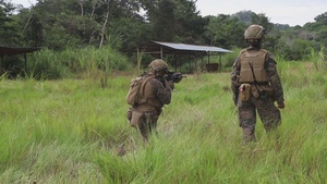 U.S. Marines and Panamanian Partners train on fire team movement techniques