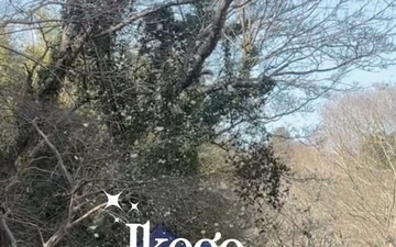 CFAY MWR Hosts Ikego Winterblast