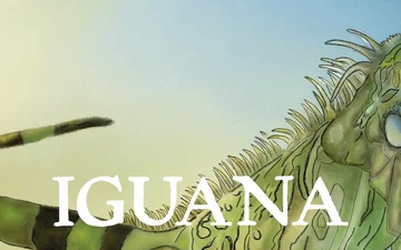 Invasive Species Week Iguana