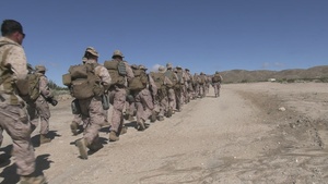 B-Roll: U.S. Marines with 3rd LAR participate in CBRN defense training during NTC 26-05