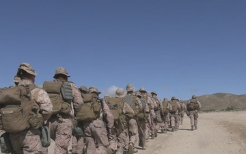 B-Roll: U.S. Marines with 3rd LAR participate in CBRN defense training during NTC 26-05