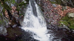 Pacific Passport: Umezu Falls, Iwakuni, Japan, 2026