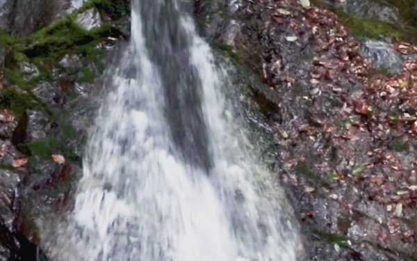 Pacific Passport: Umezu Falls, Iwakuni, Japan, 2026