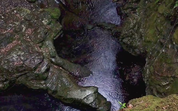 Pacific Passport: Umezu Falls, Iwakuni, Japan, 2026 (B-Roll)