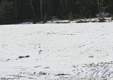 809th MRBC demo range