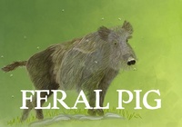 Invasive Species: Feral Pig