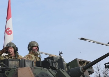 Allies Stand Together at Estonian Independence Day Parade Celebrating Freedom and Partnership