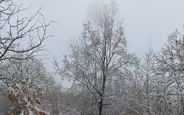 Riva Ridge + Mt. Belvedere – MAJ Sherrod