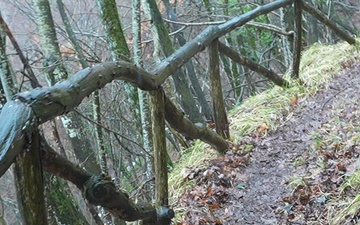 Riva Ridge + Mt. Belvedere – MAJ Sherrod