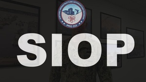 SIOP 2025 Year in Review