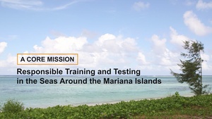 Navy MITT SEIS Video