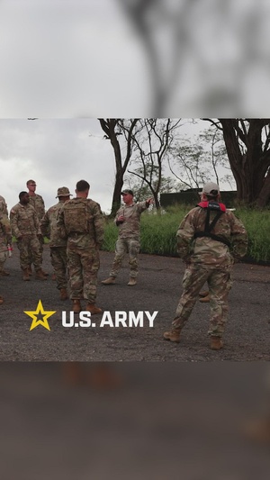 MSV-L littoral rapid infiltration operation