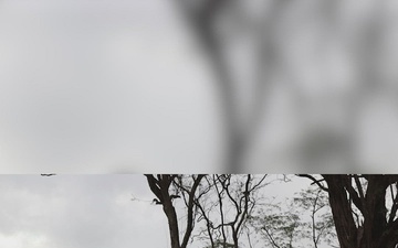 MSV-L littoral rapid infiltration operation