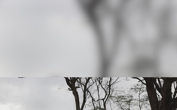 MSV-L littoral rapid infiltration operation