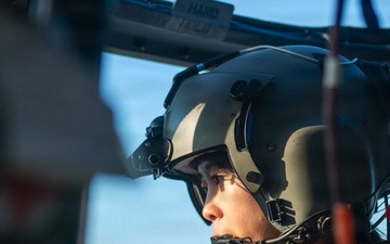 Feb Warrior Highlights