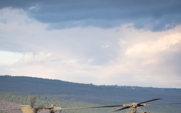 3rd Infantry Division AH-64 Apache Crews Conduct Aerial Gunnery in Bulgaria (Reel)