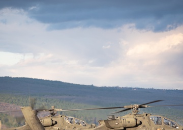 3rd Infantry Division AH-64 Apache Crews Conduct Aerial Gunnery in Bulgaria (Reel)