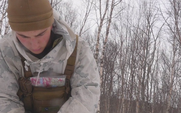 CORE26 | U.S. Marines, Sailors Participate in Cold Weather Training for Arctic Exercise