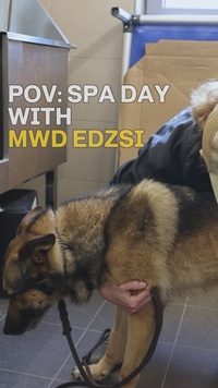 POV: Spa Day with MWD Edzsi Reel Version