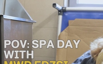 POV: Spa Day with MWD Edzsi Reel Version