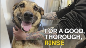 POV: Spa Day with MWD Edzsi