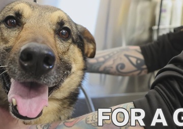 POV: Spa Day with MWD Edzsi