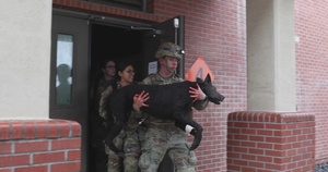 Joint Forces Train with Robotic Dogs to Enhance Military Canine Care B-roll