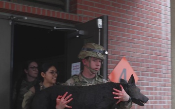 Joint Forces Train with Robotic Dogs to Enhance Military Canine Care B-roll