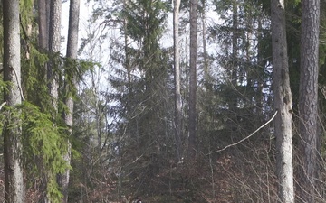 xTech|Edge: Ground Strike