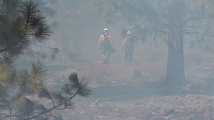 Galena Creek Understory Burn