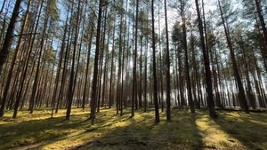 1st Battalion, 12th Cavalry Regiment Conducts Spur Ride at Pabradė Training Area