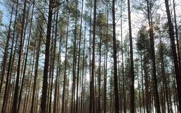 1st Battalion, 12th Cavalry Regiment Conducts Spur Ride at Pabradė Training Area
