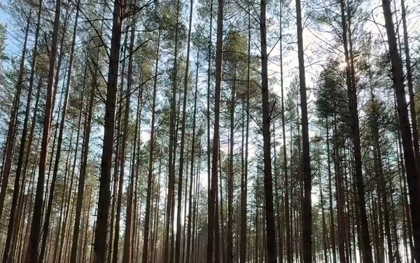 1st Battalion, 12th Cavalry Regiment Conducts Spur Ride at Pabradė Training Area