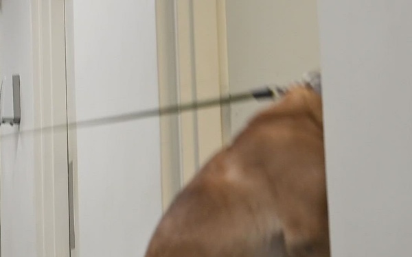 US ROK K9 JOINT TRAINING