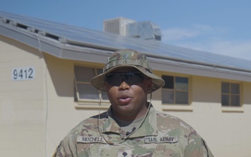 Spc Mateo Mitchell - MLB Tampa Bay Rays